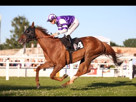 Hamburg: Hamburger Flieger Preis (Gruppe 3) - Sieger: Donnerschlag
