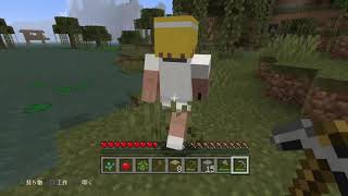 Minecraft: PlayStation®4 Edition_20190616235404