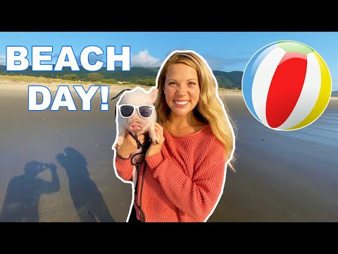 My Mini Pig Goes To The Beach For The First Time!