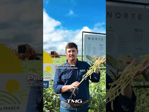 A TMG Castanheira I2X está mostrando todo o seu potencial nos solos maranhenses 💪