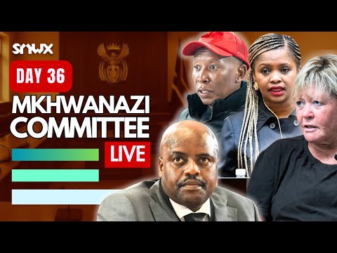 Julius Mkhwanazi testifies in Parliament