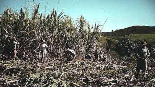 Tiempo Muerto Lyrics English Translation