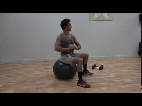 Stability Ball Torso Rotation