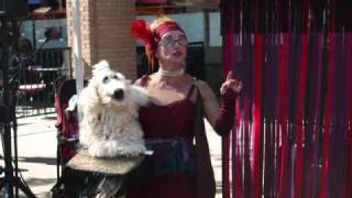 Toronto Busker Fest  2010