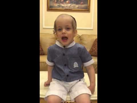 Cute Kid Sings The Kalliver Rebbe's Holy Melody of Kaliv