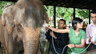 Elephants & Emotion – A Lifelong Bond
