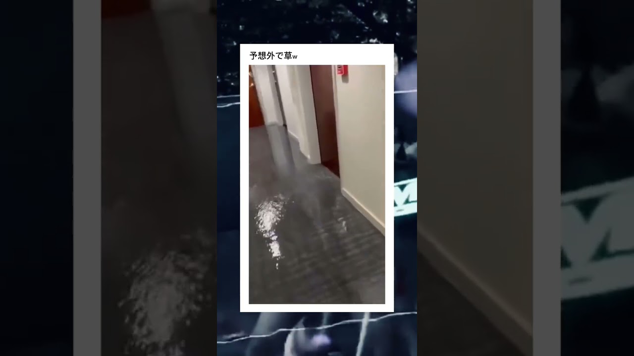 てっきり誰かが水出しっぱにしとるんやと思ったw #shorts #浸水 #おすすめ