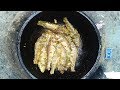 Fish Fry Recipe Cooking Village Style Fish Fry By My Aunty Bengali Style Fish Fry Village Food