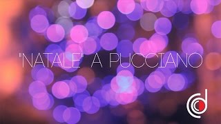 preview picture of video 'Il Natale a Pucciano'