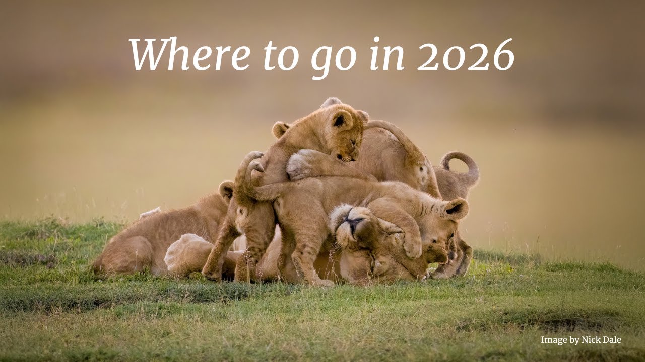 Where to go in 2026