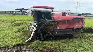 台南白河  久保田kubota DR7130割稻機割倒稻