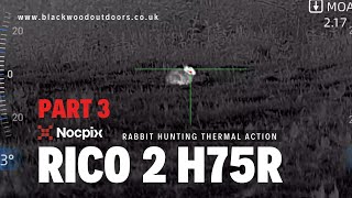 NocPix Rico 2 H75R Thermal Airgun Rabbit Hunting Part 3 #thermalhunting #nocpix #hunting