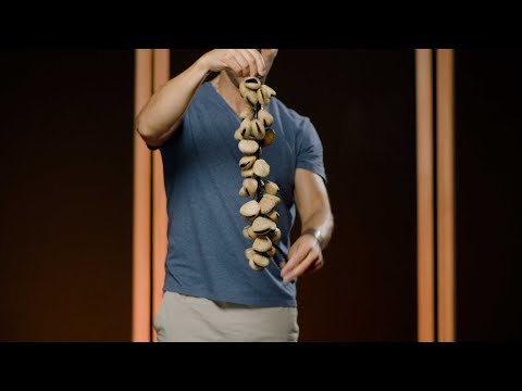 Zuhal Youtube Videos