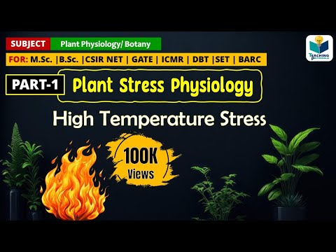 image-How do plants cope with stress?