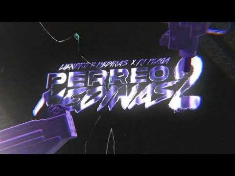 PERREO MEDINAS 2 REMIX - DJ LIENDRO, MEDINAS, DJ PLAGA