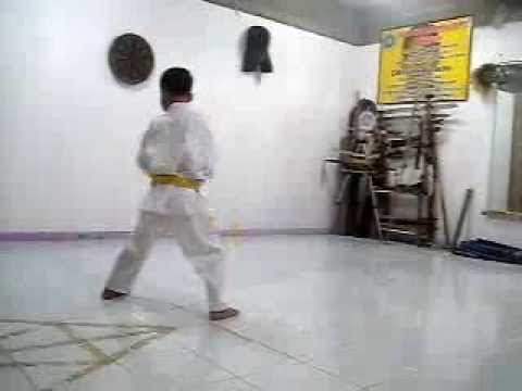 training exercises on exam day 010.avi Taikyoku Shodan