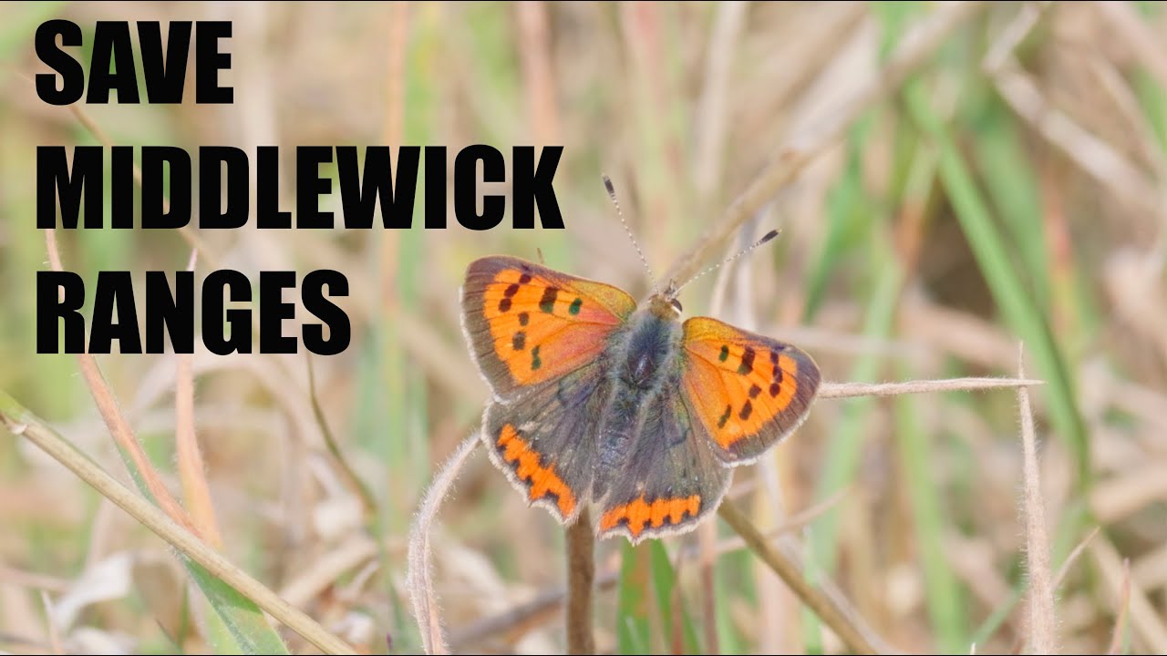 Save Middlewick Ranges