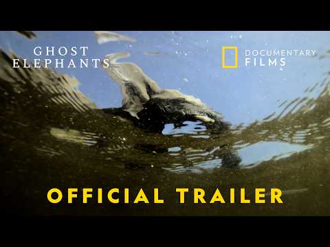 Ghost Elephants | Official Trailer | National Geographic Documentary Films - YouTube