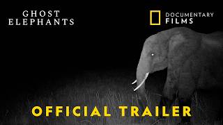 Ghost Elephants (2026) Video