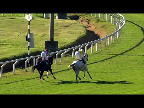 210613 c01 ARLEQUIN  LUNANUEVA