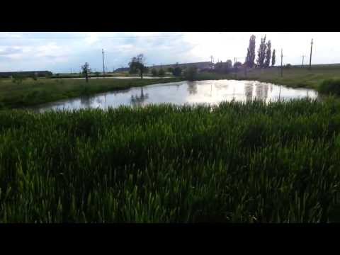 Balta garii si pescaria - Uivar, jud Timis