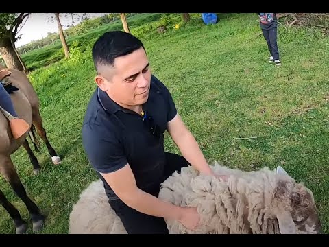 BOXEO EN LA HUERTA