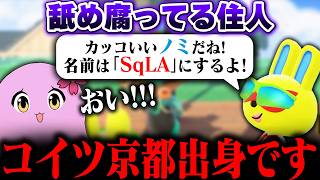しずえさん、大切なお話があります。【 あつ森 #6 】【 SqLA 】
