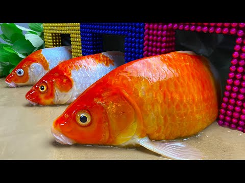 Mini magnetic balls & Stop Motion Fish Monster carp ASMR - Top Fishing eel Cooking, Mukbang | Cuckoo