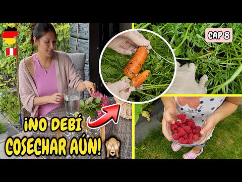 CHAPTER 8 | Baby Carrots in a Hurry! + Naughty Binky | Organic Garden in Germany – Shirley Tocic