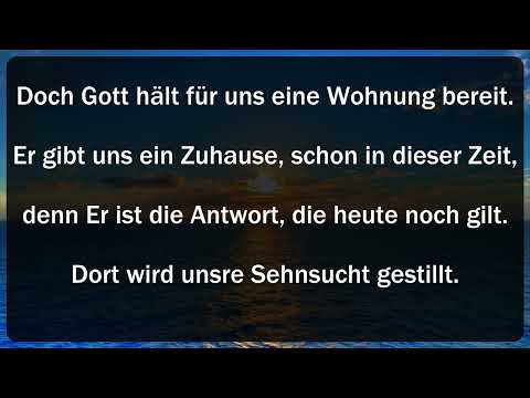 Die Möwen - Peter Strauch