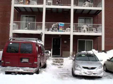 Nor'easter on 12/27/2010.