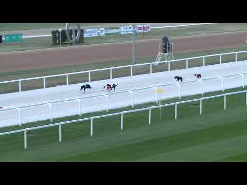 2019.05.03. Agár futam