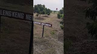 Jenis Tanaman di Food Estate Korem 051/WKT, Cibitung Kabupaten Bekasi