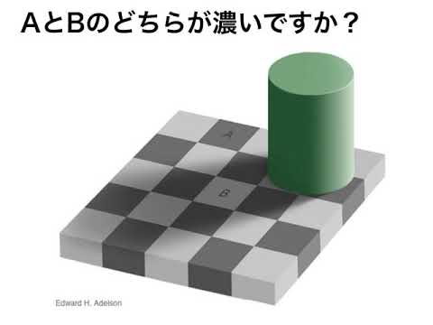 藍野大学 作業療法学科　模擬講義「発達障害～凸凹があるから面白い～」