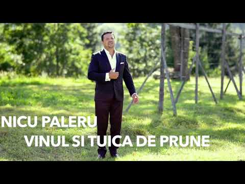Nicu Paleru – Vinul si tuica de prune Video