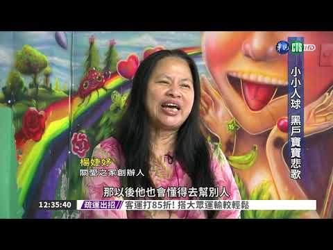 小小人球 台灣黑戶寶寶的悲歌