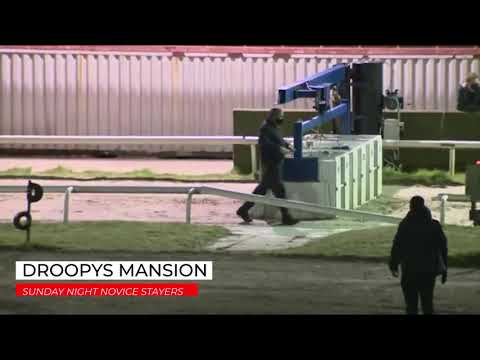 Droopys Mansion - Sunday Night Novice Stayers