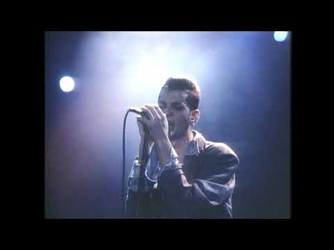 Video thumbnail for If You Want [Live in Hamburg, Alsterdorfer Sporthalle, Germany - 1984/12/09]