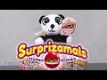 Surprizamals Series 2 From Beverly Hills Teddy Bear Company