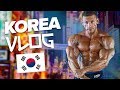 Borecki KOREA VLOG - TRENING Z KOREAŃSKIMI KOKSAMI