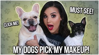 MY DOGS PICK MY MAKEUP!! | MakeupByAmarie