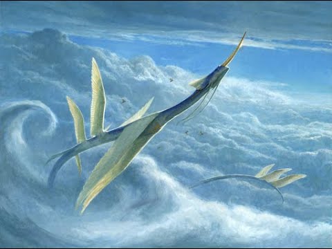 MTGA - Brawl : Yorion