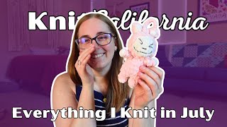 Everything I Knit in July 2025 - Knit California Podcast