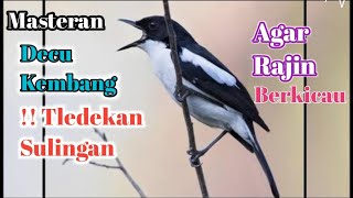 Download lagu Masteran Decu Kembang !!Tledekan Sulingan Agar Berkicau Bunyi#Burungdecukembang#Masterandecukembang mp3