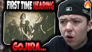 HIP HOP FAN'S FIRST TIME HEARING 'Gojira - Stranded' | GENUINE REACTION