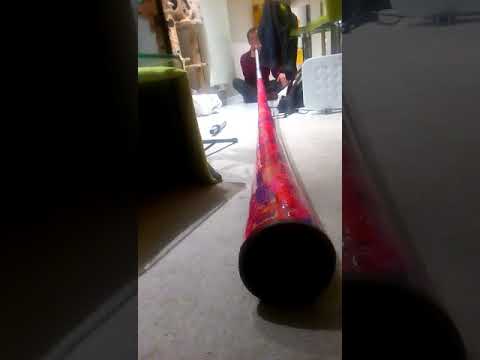 Mike Ianosi et son didgeridoo