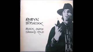 Robyn Hitchcock The Man who invented himself