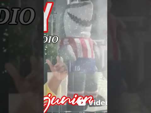 la canción del junior/// el porky/// JD AUDIO PLACAS PARA PIKUPS DJ JEISON MORENO