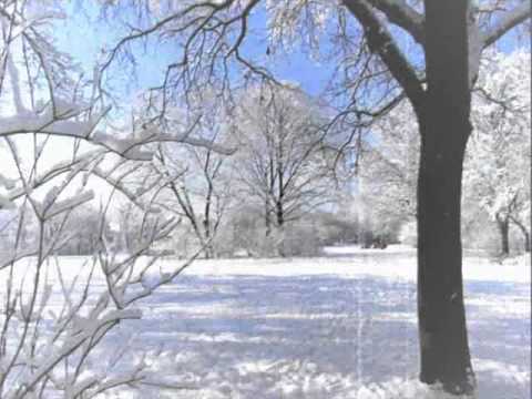 Medizin Mann - Winterzeit (feat.Tomzen,Täterprofil & Klabautermann)