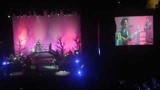 Alessandro MANNARINO e Simona SCIACCA - MERLO ROSSO Live Roma 2014 HD